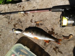 20160902_084356.jpg