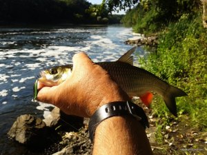 20160902_095644.jpg