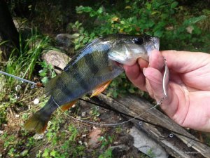 20160902_102234.jpg