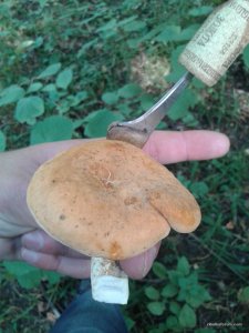 20160903_145133.jpg