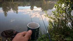 WP_20160903_07_46_30_Pro.jpg