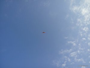 20160904_081617.jpg