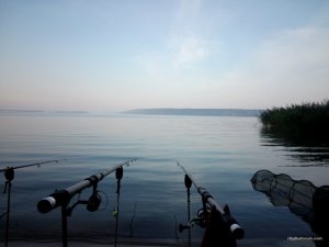 IMG_20160904_063552.jpg