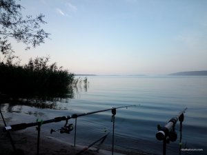 IMG_20160904_063601.jpg