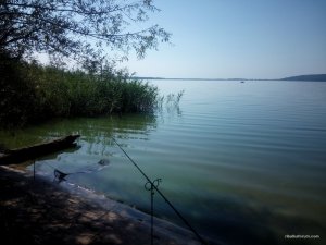 IMG_20160904_105123.jpg
