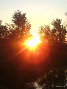 IMG_20160903_185539.jpg