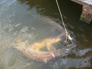 IMG_0401.jpg