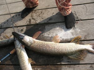 IMG_0404.jpg