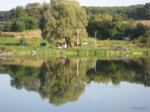 IMG_7698.JPG