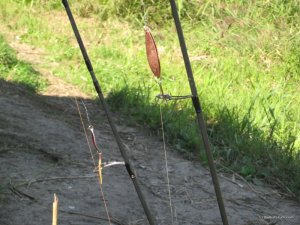 IMG_7702.JPG