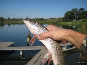 IMG_7701.JPG