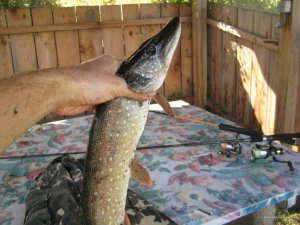 IMG_7705.JPG