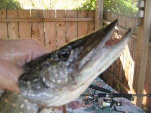 IMG_7707.JPG