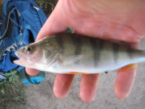 IMG_7711.JPG