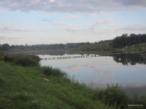 IMG_3713.JPG