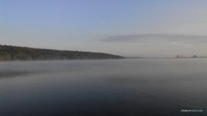 рогоз 1.jpg