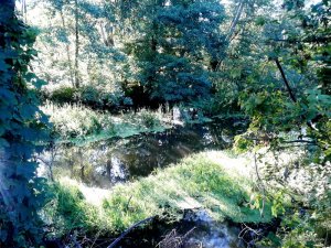20160907_171606.jpg