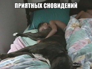 image-0-02-01-1b4ef483c82d4f04e94fa08c6e888d65f09345778991f4ac0564ccc61b96e6d5-V.jpg