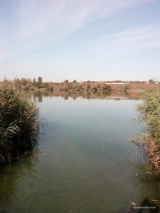 IMG_20160823_085741.jpg