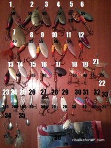 image (9).jpg