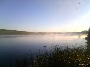 IMG_20160910_065117.jpg