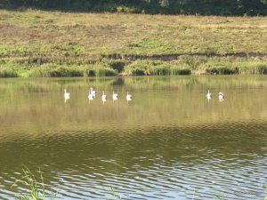 IMG_0436.jpg