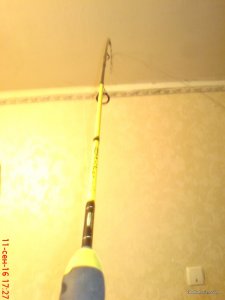 DSC02418.JPG