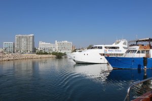 IMG_2075.JPG