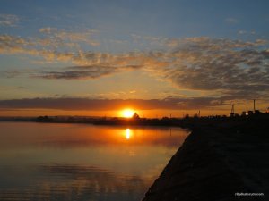 IMG_0135.JPG