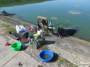 IMG_0043.JPG