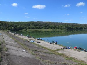 IMG_0046.JPG
