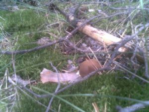 09092016(017)_thumb.jpg