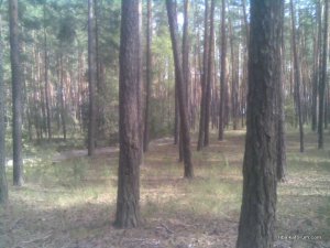 11092016(001)_thumb.jpg