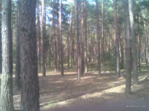 11092016(002)_thumb.jpg