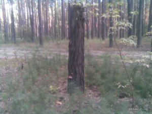 11092016(004)_thumb.jpg