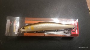 DSC_1281.JPG
