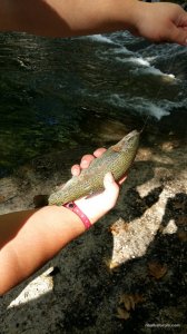 20160917_103708.jpg
