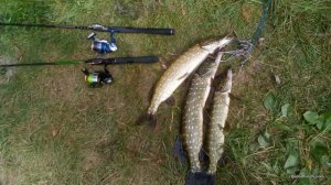IMG_20160918_115429.jpg