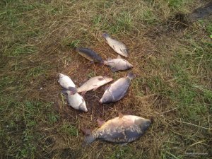 IMG_20160918_085122.jpg