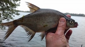 20160920_114843.jpg