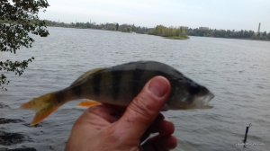 20160920_114925.jpg