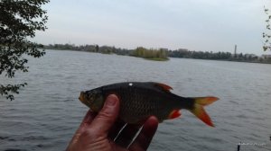 20160920_114948.jpg