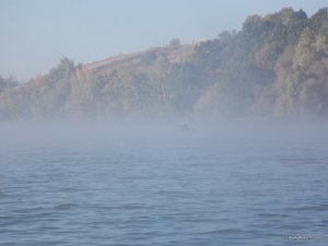 Изображение 029.jpg