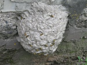 IMG_0018.JPG