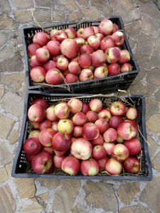 IMG_20160923_141830.jpg