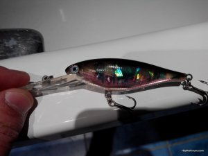 IMG_20160325_172920.jpg