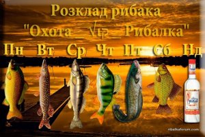 x8-MRp-rz7Q.jpg
