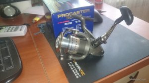 DSC_1291.JPG