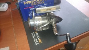 DSC_1295.JPG