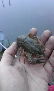 20160924_065231.jpg